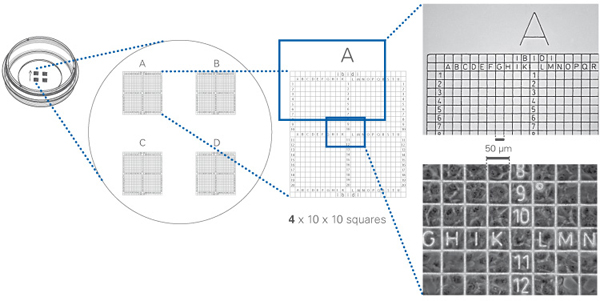 1683689660712880.jpg 22.jpg