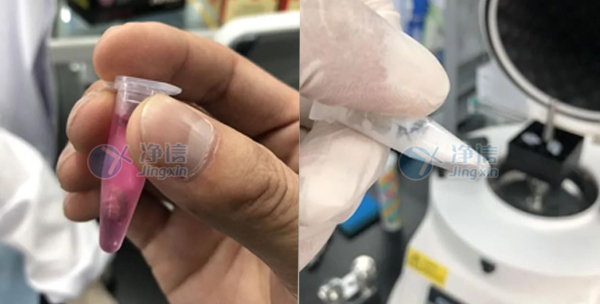 1729156275211989.jpg 10-15-實驗案例底圖.jpg