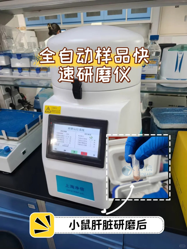 1750904638639713.jpg 全自動(dòng)樣品快速研磨儀