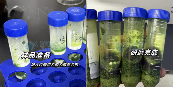 1753174972139851.jpg 農(nóng)產(chǎn)品 實(shí)驗(yàn)案例底圖.jpg