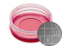 易必迪ibidi 細(xì)胞定位格子培養(yǎng)皿μ-Dish 35 mm high， glass bottom Grid-500